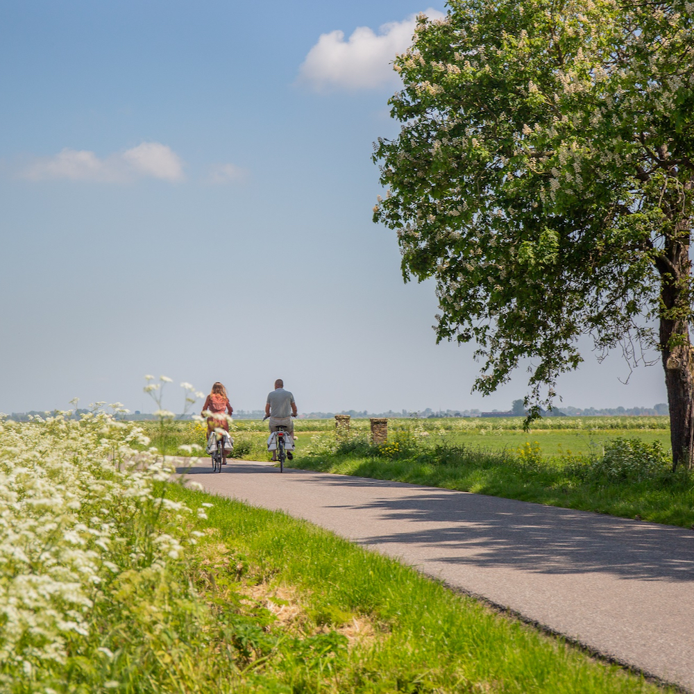 Radfahren Urlaub auf dem Land Friesland