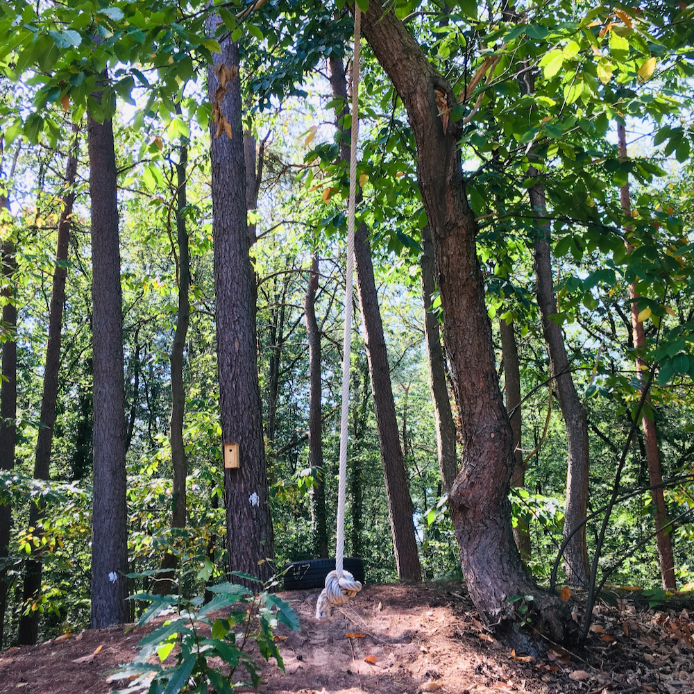 Seilschaukel im Wald in der Nähe eines Ferienhauses