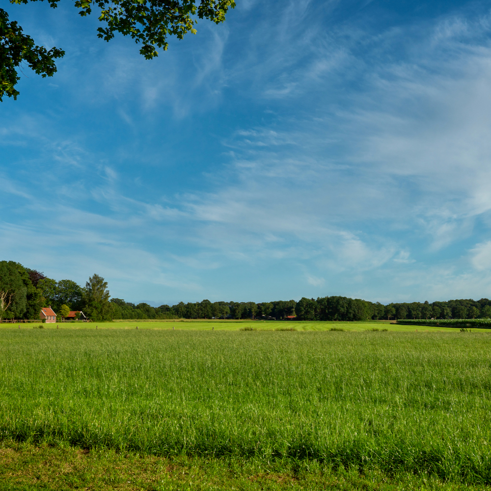 Blick über die Achterhoek