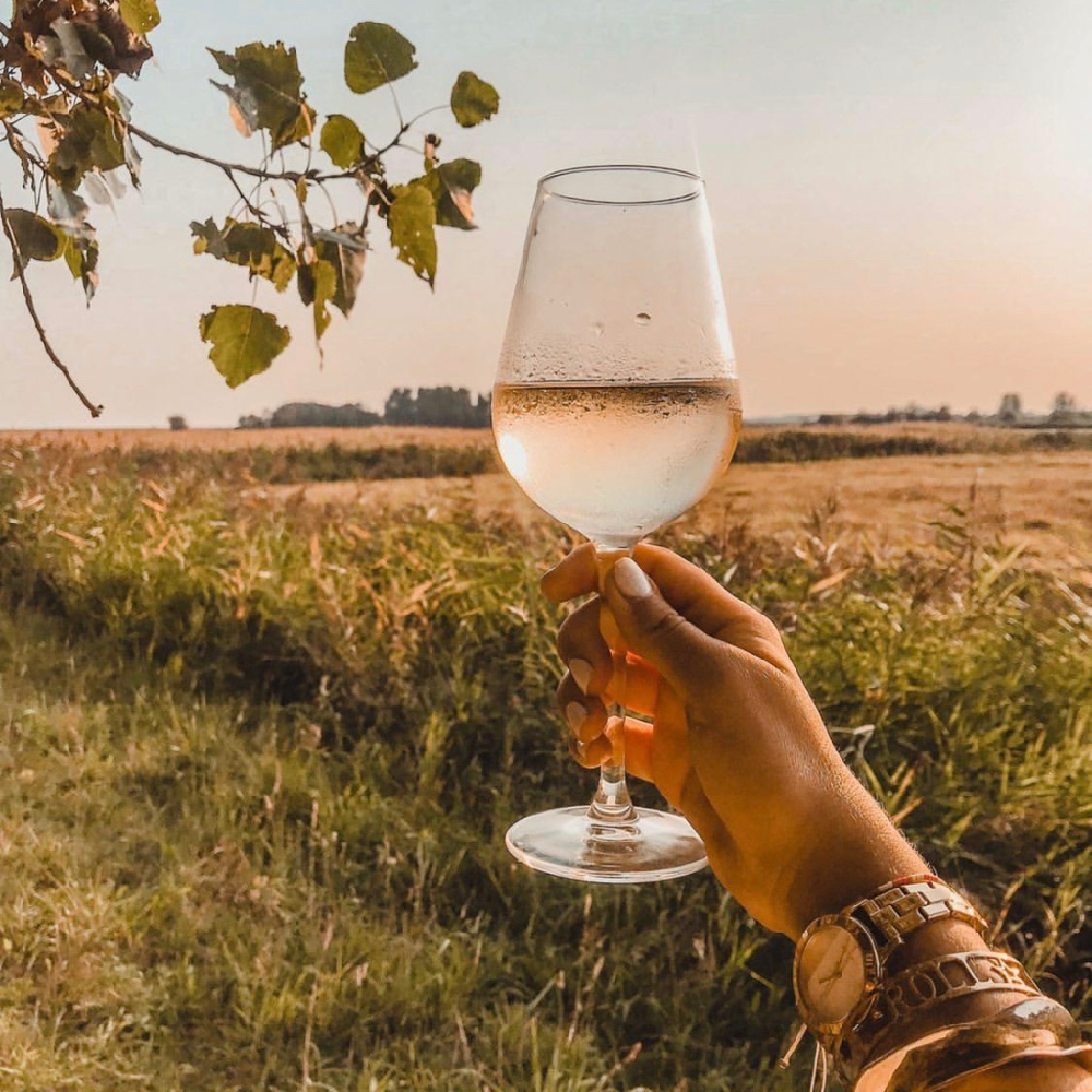 Ein Glas Wein in der Abendsonne