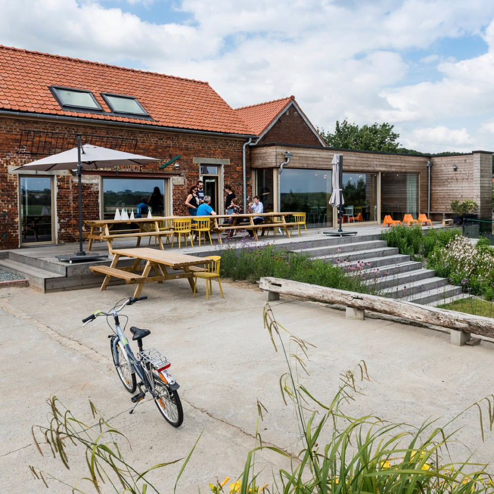 Garten des Ferienhauses mit einer großen Terrasse und Stufen zum Rasen
