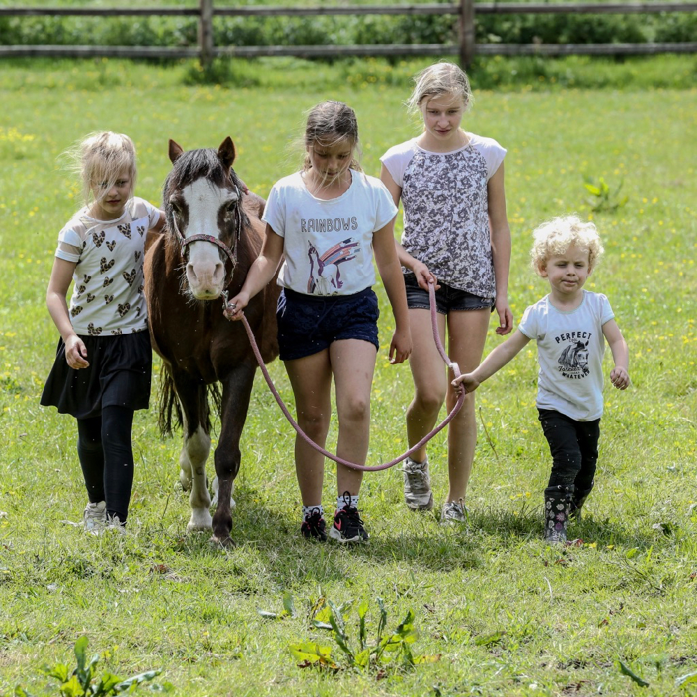 Kinder auf der Wiese mit einem Pony an der Leine