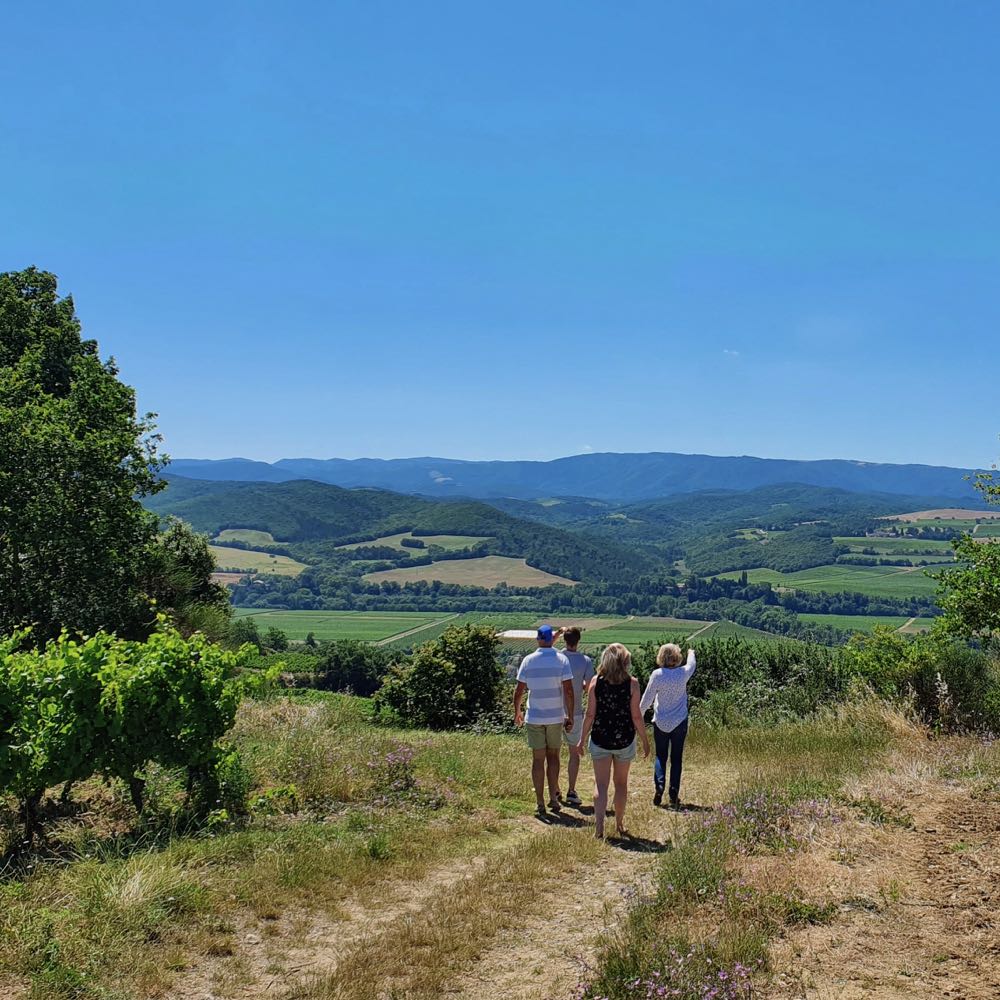 Nehmen Sie an einer Weintour teil und probieren Sie die köstlichen Weine der Region.