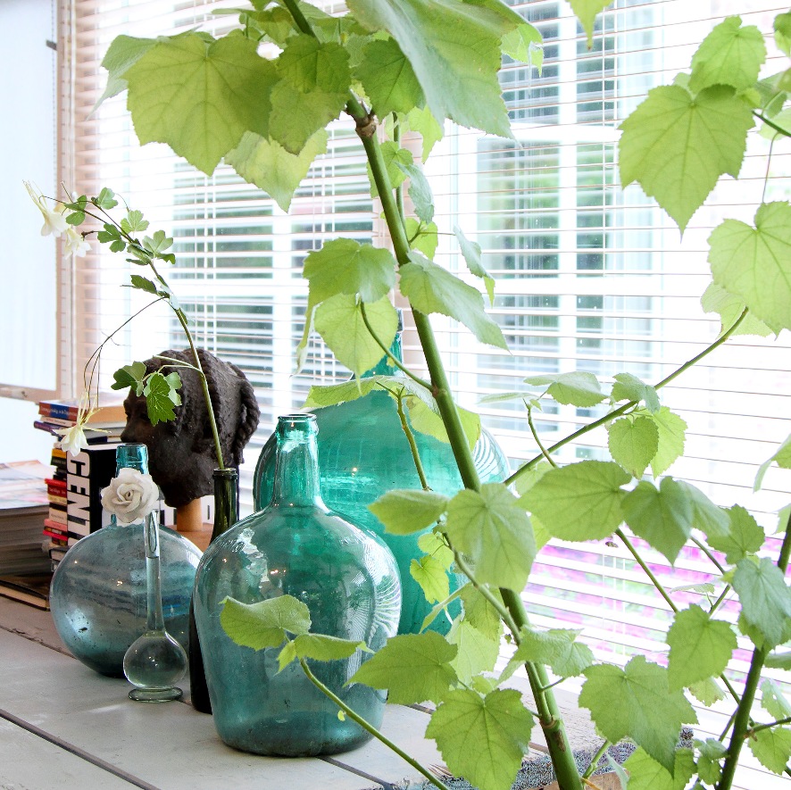 Stimmungsvolle Details und Vasen im Zimmer des Bed & Breakfast