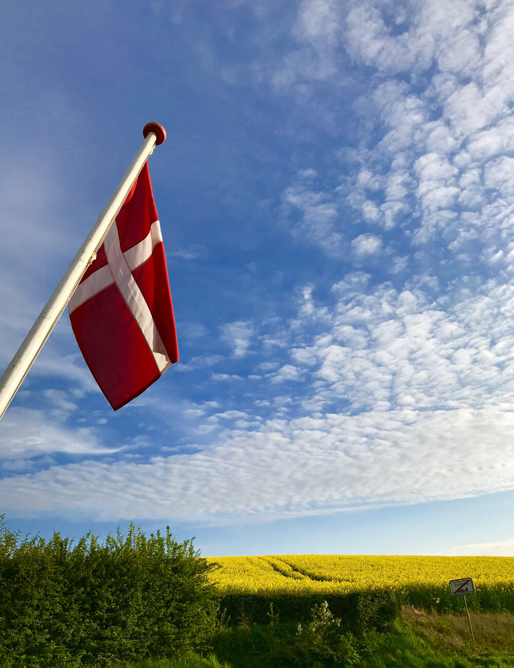 Fahne entlang der gelben Rapsfelder