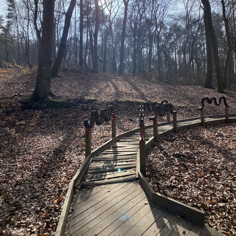 Waldspaziergang auf der deutschen Insel Usedom