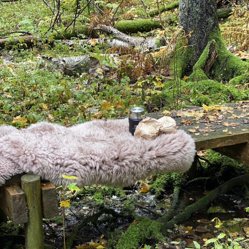 Fika mit einem Fell im Wald