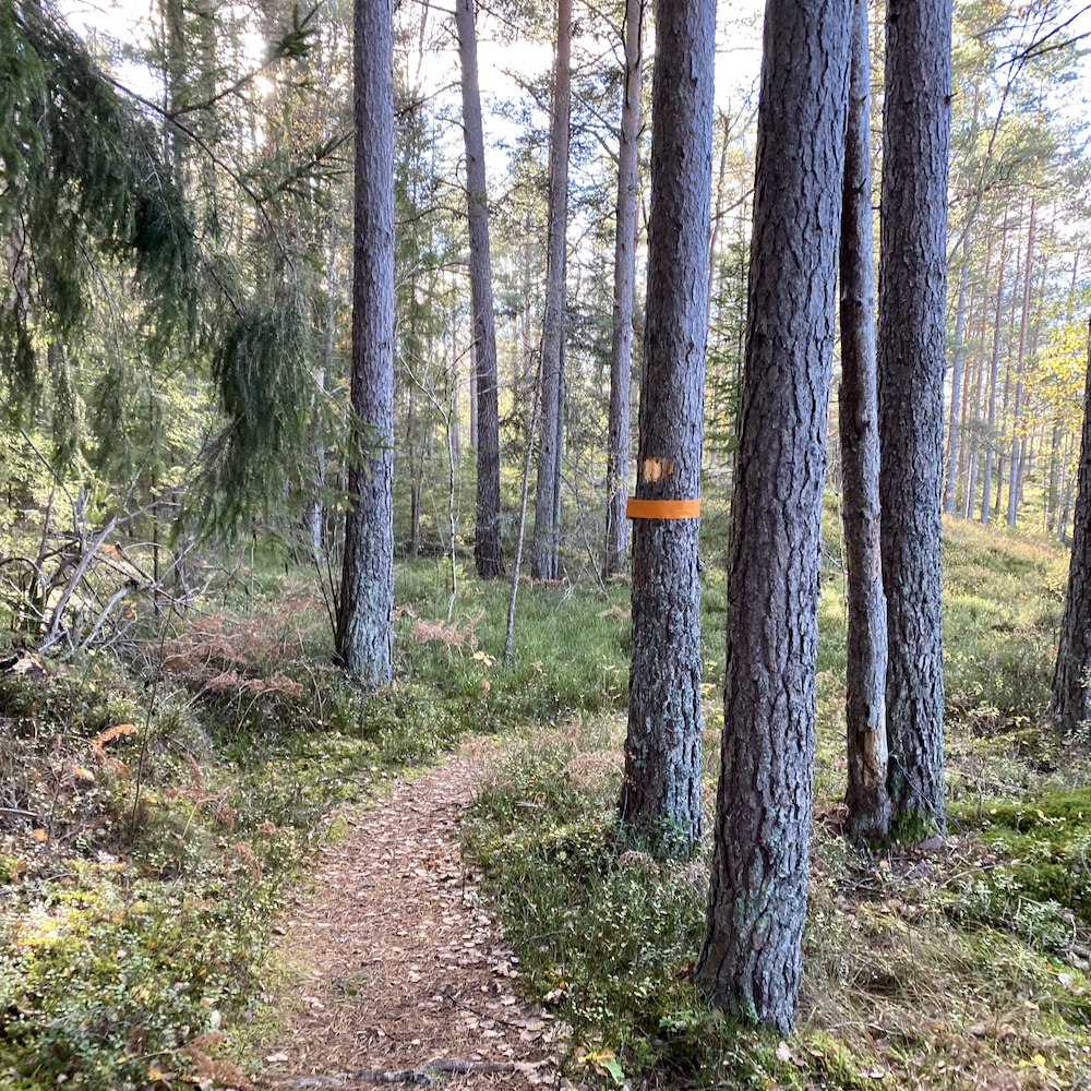 Wandern in Schweden