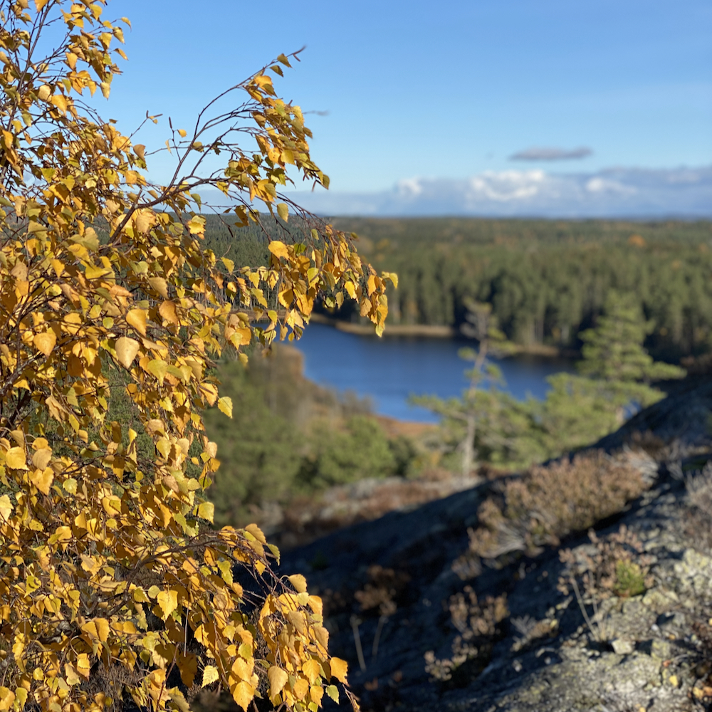 Seen und Herbstwälder