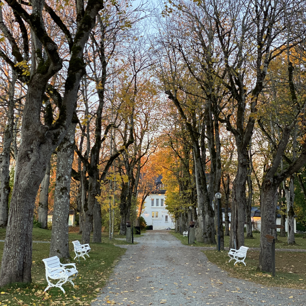 Einfahrt zum Herrenhaus