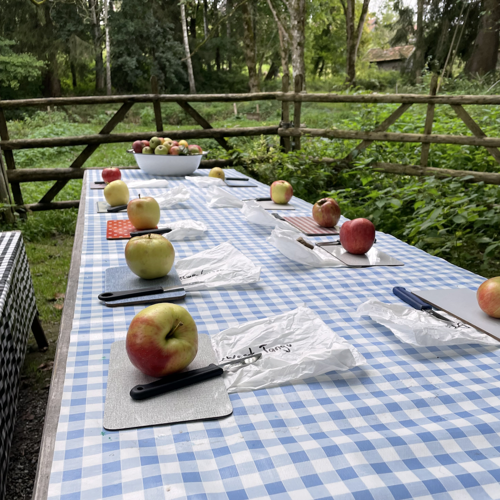 Äpfel mit einem Schäler auf dem Tisch
