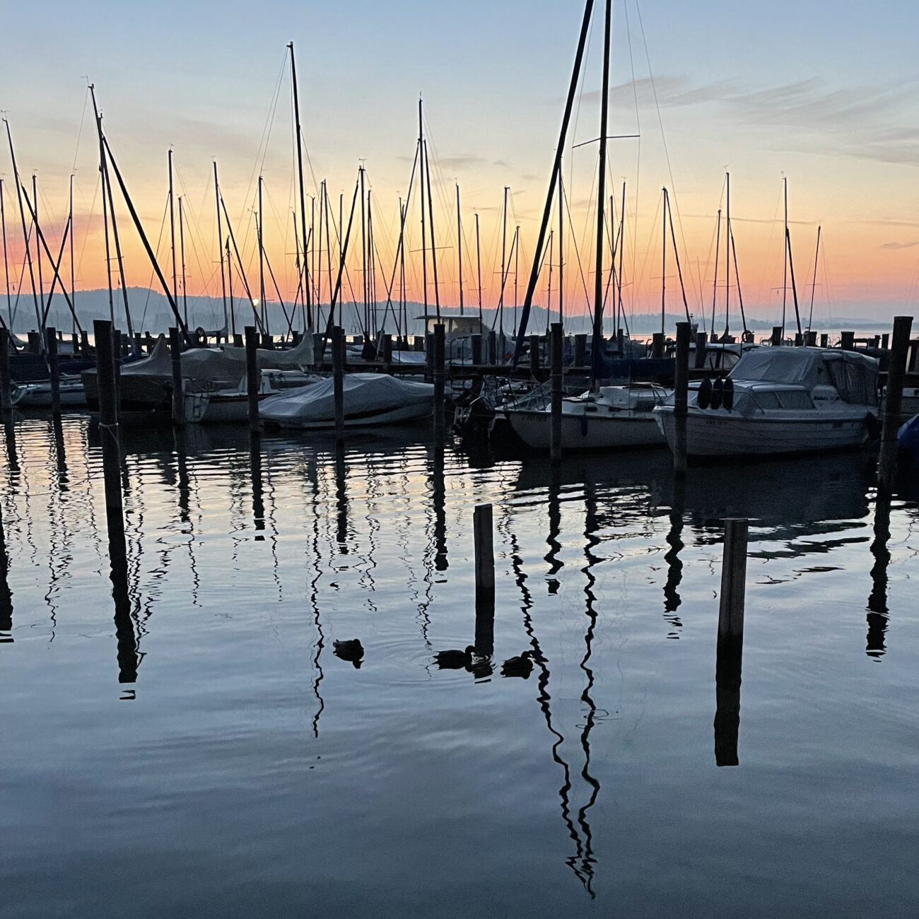 Sonnenaufgang am Bodenseehafen