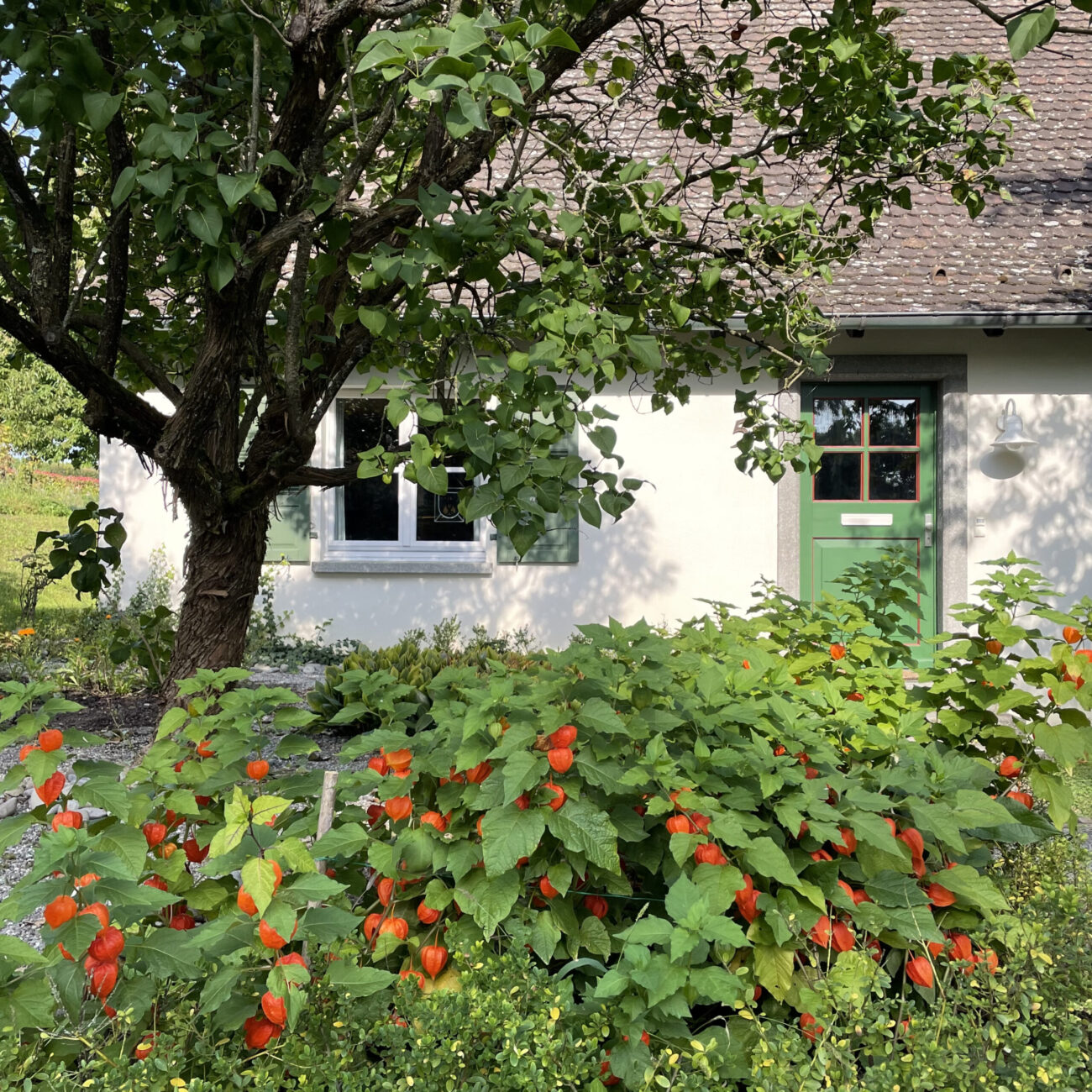 Bauernhaus am Bodensee