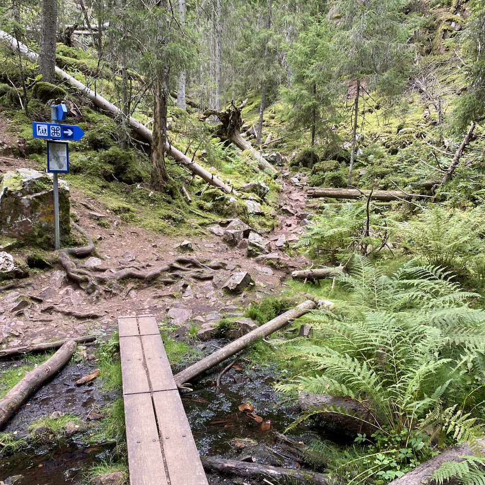 Eine Erlebniswanderung durch Skurugata