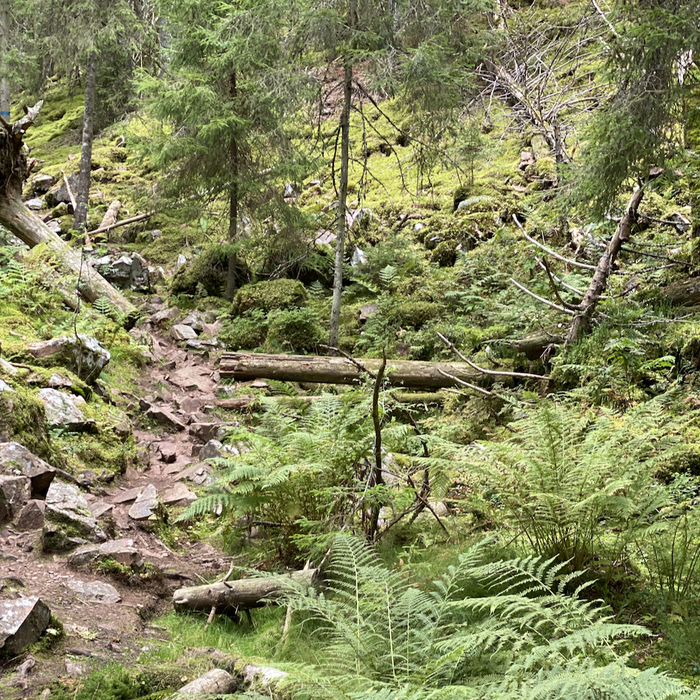 Wanderung durch Skurugata