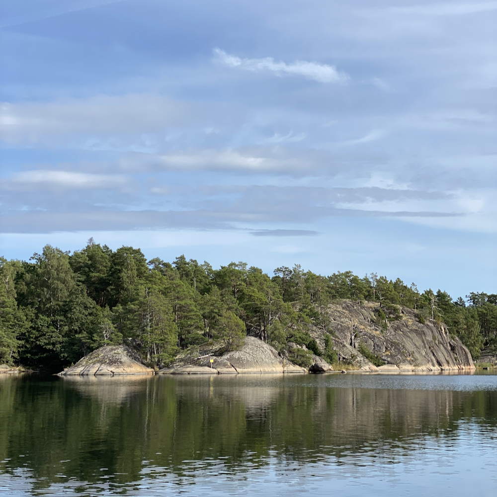 Seeadler-Safari in Schweden