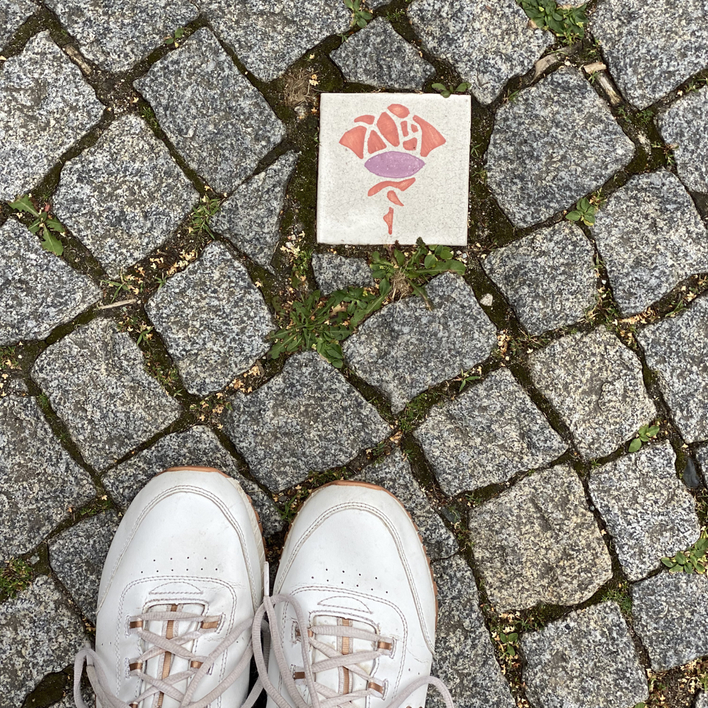 Rosenspaziergang durch die Stadt