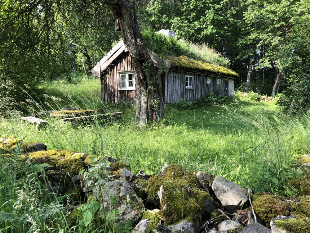 Mit Gras und Moos bewachsenes schwedisches Landhaus