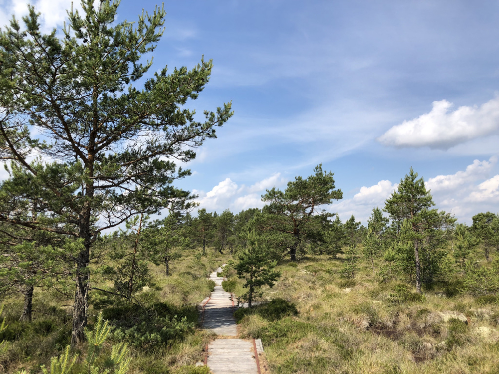 Wandern in Schweden
