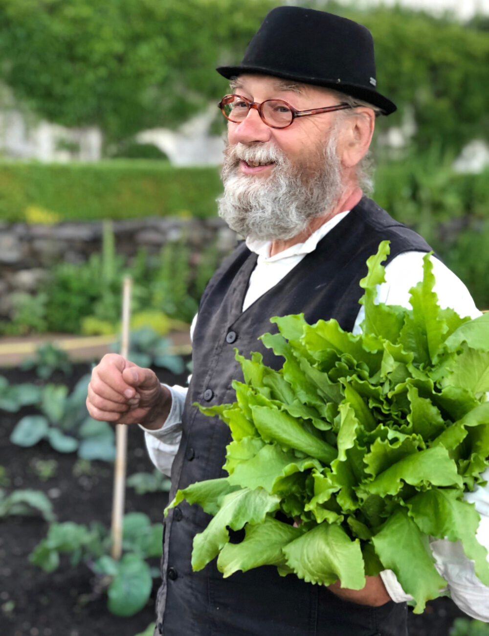Arbeiten im Gemüsegarten