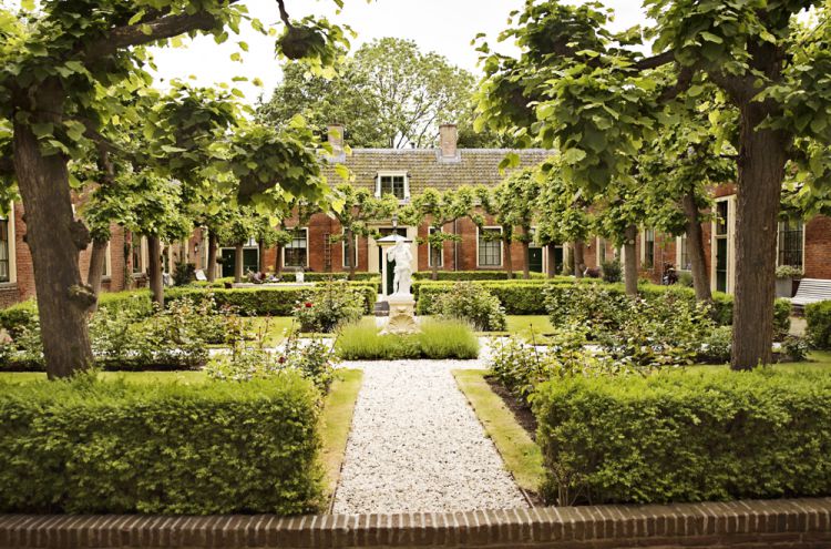 schöner Hofgarten mit Bäumen und Sträuchern