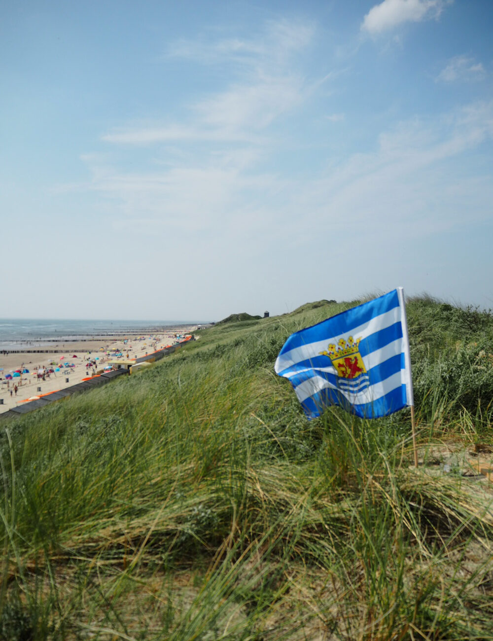 Flagge in den Dünen in der Nähe des Strandes