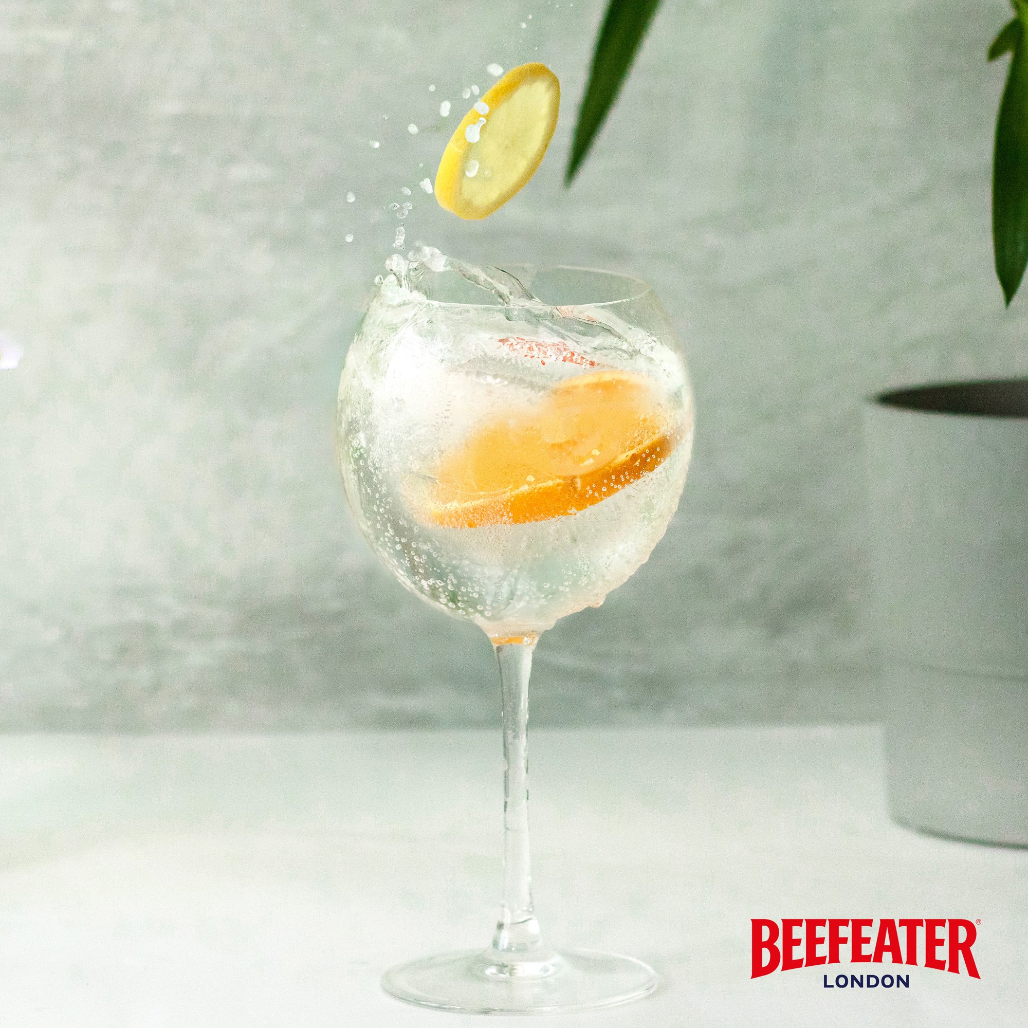 Gin & Tonic