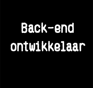 back-end ontwikkelaar