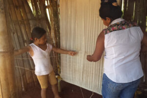 27185117623 3a5fc00f4d z