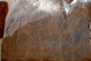 42789429420 869f71c674 c