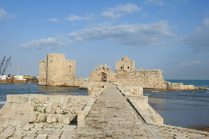 43748940005 2c58de11ea c