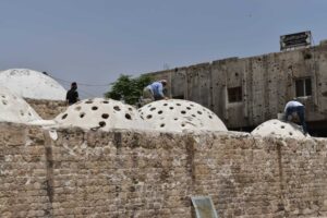 476436058 122185534832104043 4977769676789791454 n