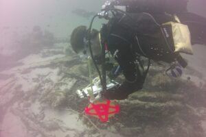 49487622948 8628bbc755 c