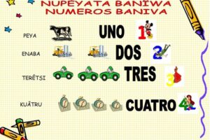 50560786327 1484b1b08d c
