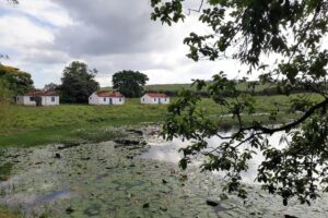 DGV0104 10 farm