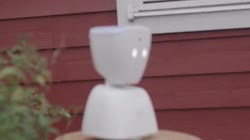 Spill Film BlimE-dans 2020  