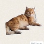 User avatar Ohness