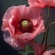 User avatar Пользователь 363304