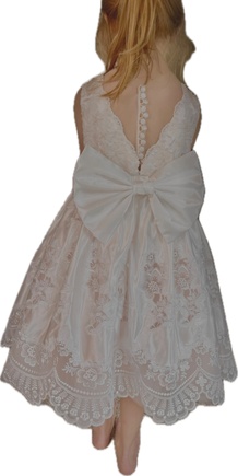 Lovely Dress for Flower Girl