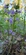 User avatar Пользователь 31280