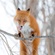 User avatar Пользователь 107774