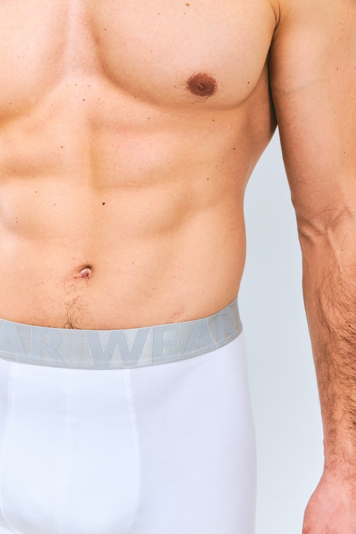 Пол боксеры