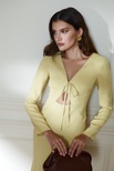 Charlene dress