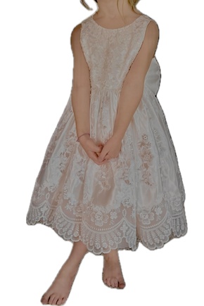 Lovely Dress for Flower Girl