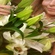 User avatar Пользователь 149077