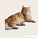 User avatar Ohness