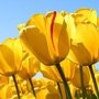 User avatar Пользователь 144579