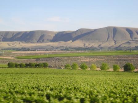 vinkoplistan-12-vin-fran-washington-state