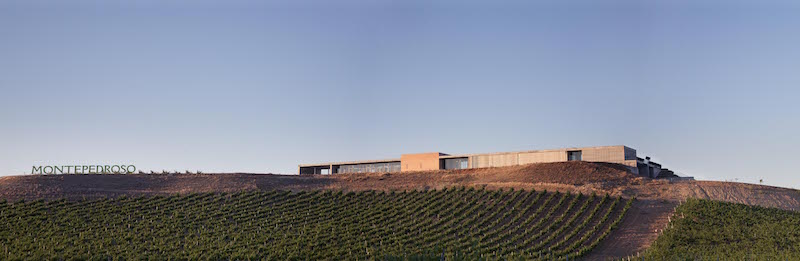 montepedroso-vingard
