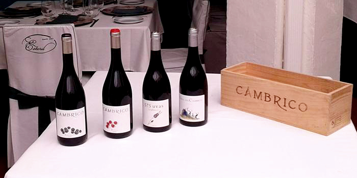 vinas-del-cambrico-rufete